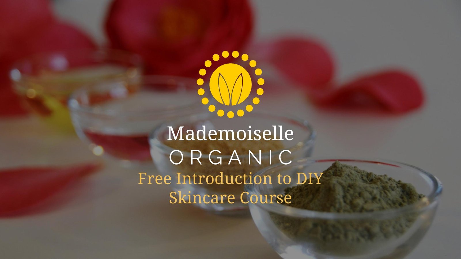 Free Introduction to DIY Skincare Course