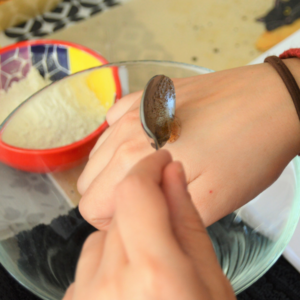 Upcoming Workshop: DIY Beauty Made Easy with Instant Recipes (3 hours)