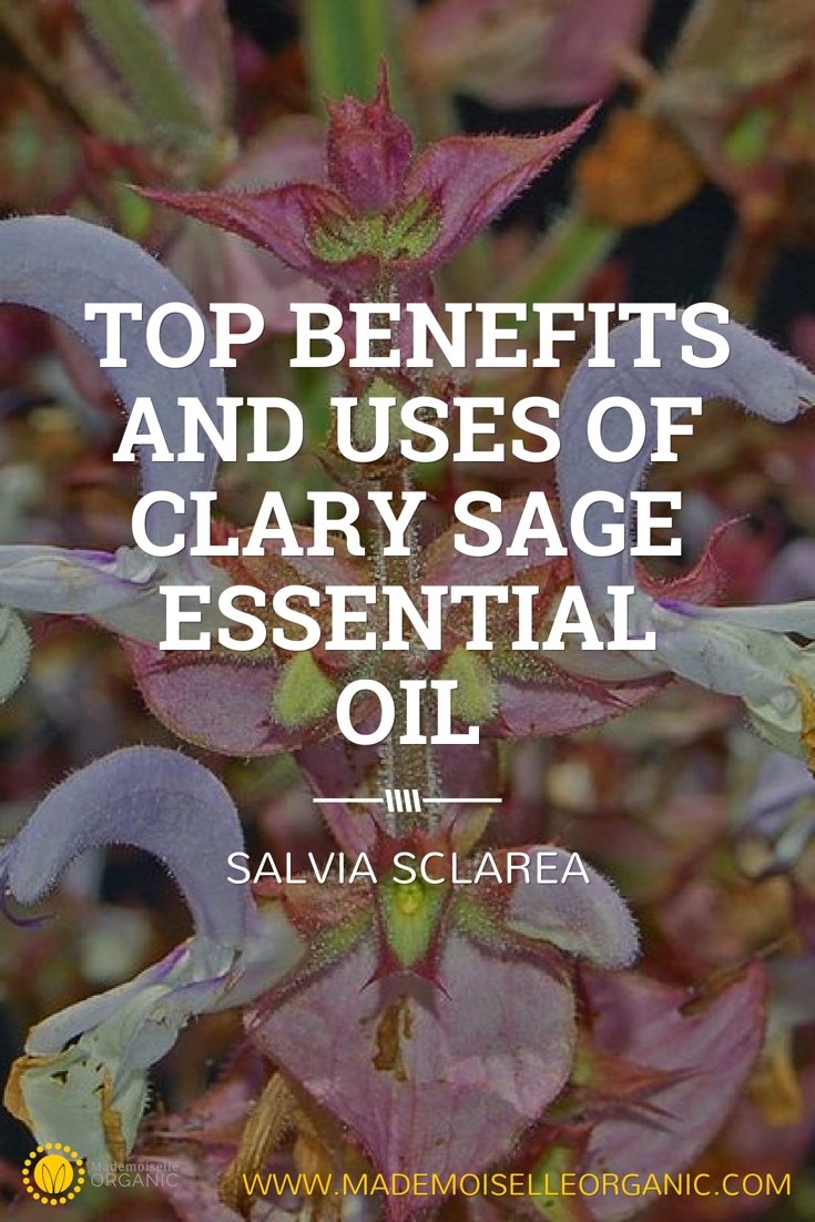 Top benefits and uses of Clary Sage Essential Oil