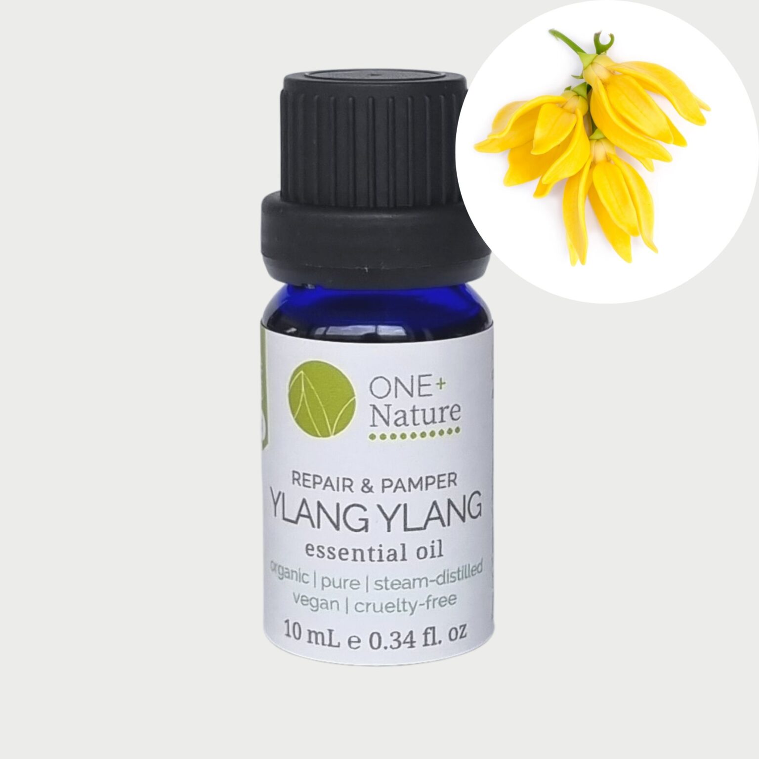 Ylang Ylang Essential Oil - Organic