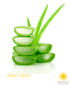Aloe Vera gel - Organic
