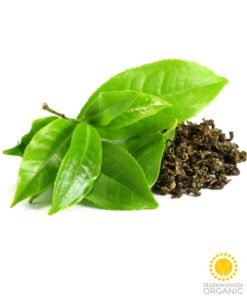 Mademoiselle Organic Green Tea Extract - Organic