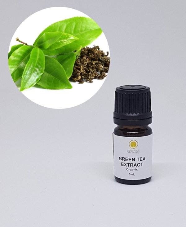Green Tea Extract - Organic