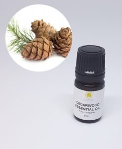 Mademoiselle Organic Cedarwood Essential Oil - Organic