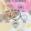 How to Make Perfume with the Five Senses