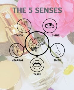 How to Make Perfume with the Five Senses